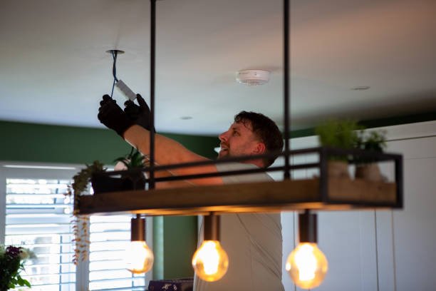 Best Electrical Upgrades for Homes  in Steelevle, IL