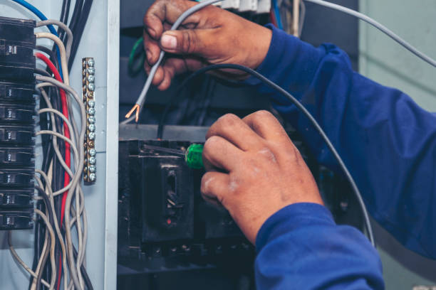 Best Generator Installation Services  in Steelevle, IL