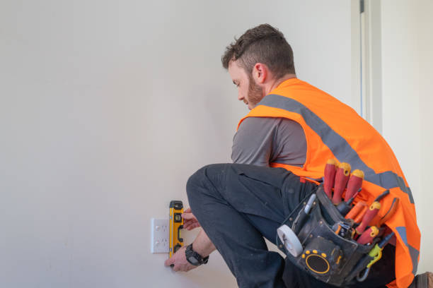 Best Local Electrician Companies  in Steelevle, IL